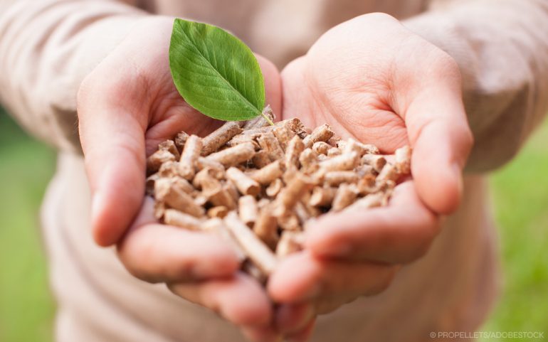 Österreichische Pellets für eine sauberere Umwelt.